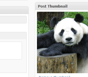 Explorer Nomad – Affordable Foldable Electric Bike for Commuters & Adventurers