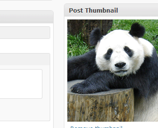 Explorer Nomad – Affordable Foldable Electric Bike for Commuters & Adventurers